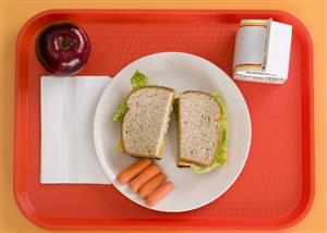 lunch tray with a sandwich, vegetables, and a drink